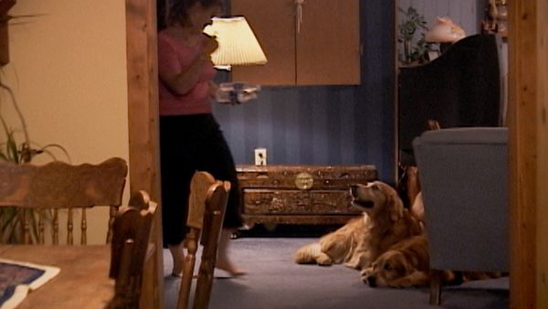 Going To the Dogs - Double Trouble