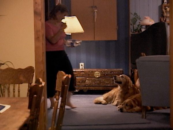 Going To the Dogs - Double Trouble