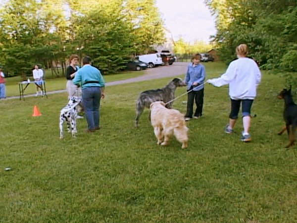 Going To the Dogs - Who's Handling Who?