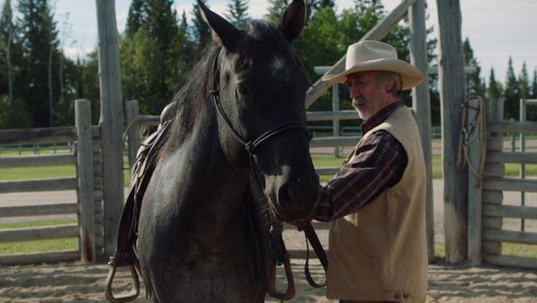 Heartland - The Long Game
