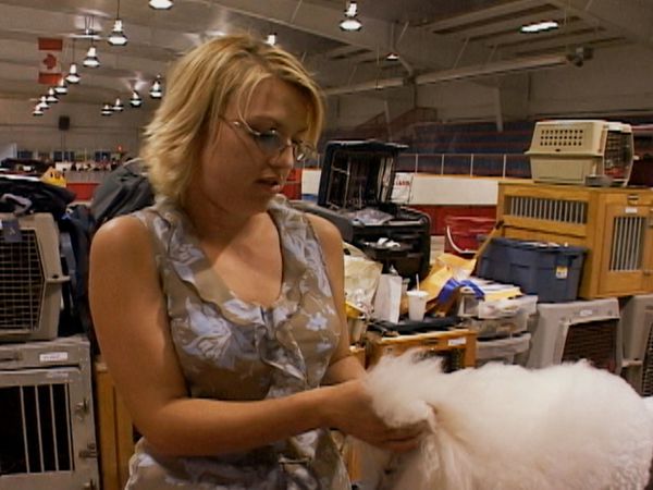 Going To the Dogs - Quest for Points