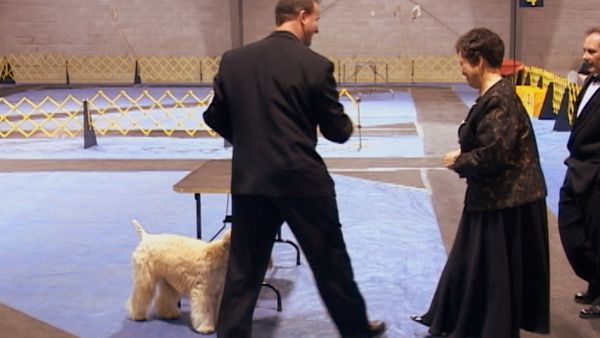Going To the Dogs - Things We Do For Love