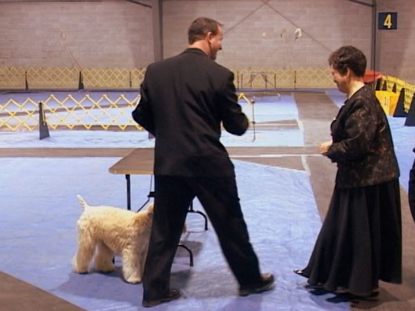 Going To the Dogs - Things We Do For Love