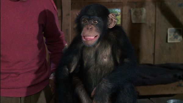Hogan's Heroes - Monkey Business