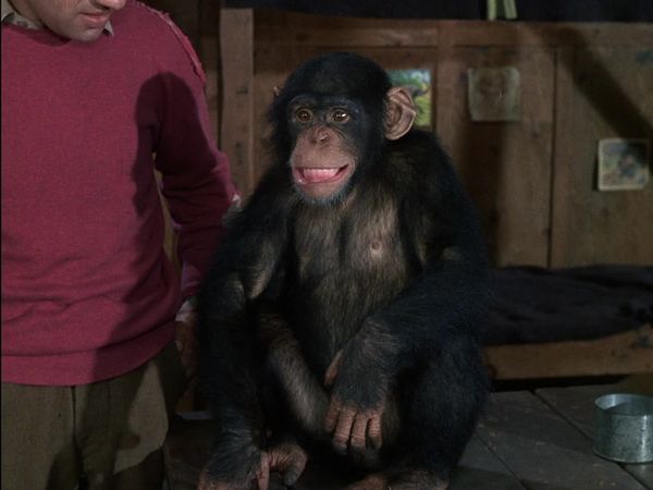 Hogan's Heroes - Monkey Business