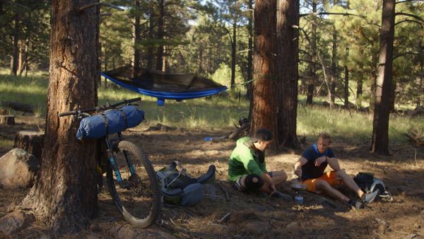 A La Conquete Des Parcs Americains - Coconino National Forest
