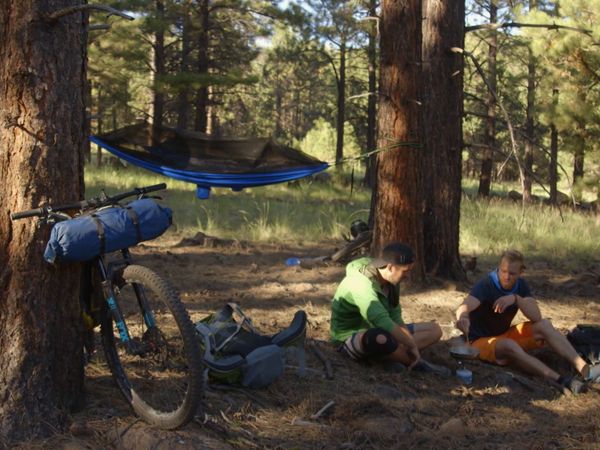A La Conquete Des Parcs Americains - Coconino National Forest