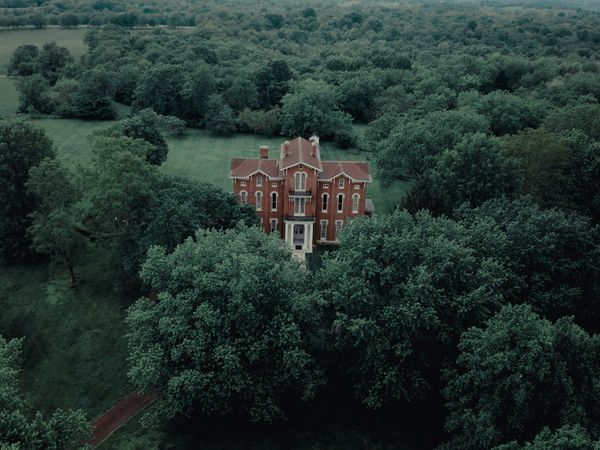 Haunted Discoveries - Lion of White Hall