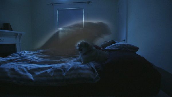 Scariest Night Of My Life - Her Own Strength + Fright or Flight