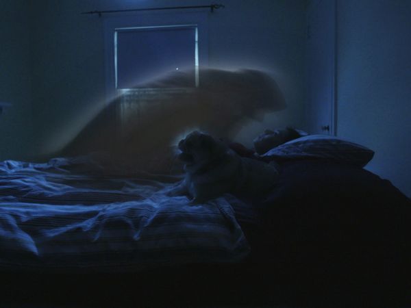 Scariest Night Of My Life - Her Own Strength + Fright or Flight