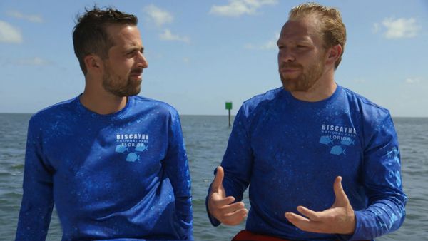 A La Conquete Des Parcs Americains - Florida Parks: Hurricane Recovery