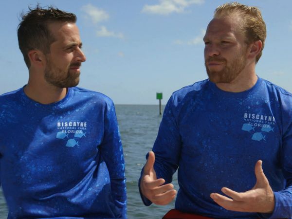 A La Conquete Des Parcs Americains - Florida Parks: Hurricane Recovery