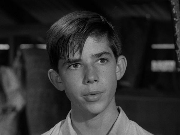 The Fugitive - Cry Uncle