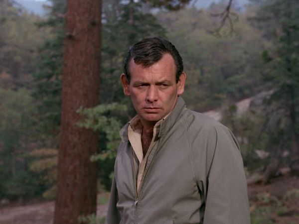 The Fugitive - Run The Man Down
