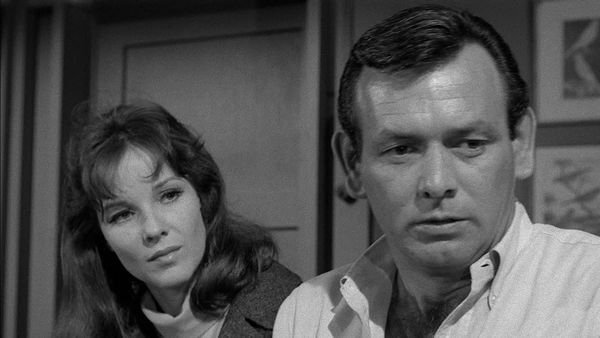 The Fugitive - Wife Killer