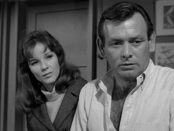 The Fugitive - Wife Killer