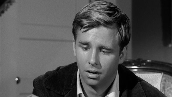 The Fugitive - Stroke Of Genius