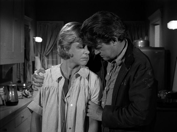 The Fugitive - Coralee