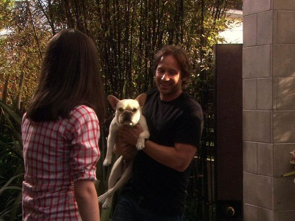 Californication - The Whore of Babylon