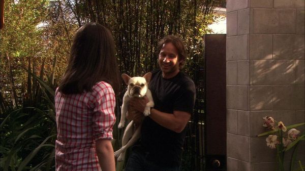 Californication - The Whore of Babylon