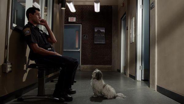 Rizzoli & Isles - If You Can't Stand The Heat