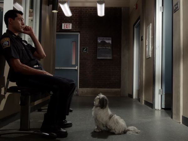 Rizzoli & Isles - If You Can't Stand The Heat