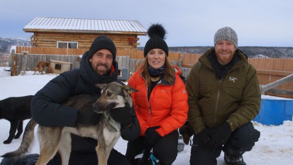 A La Conquete Des Parcs Americains - Denali: Dog Sledding