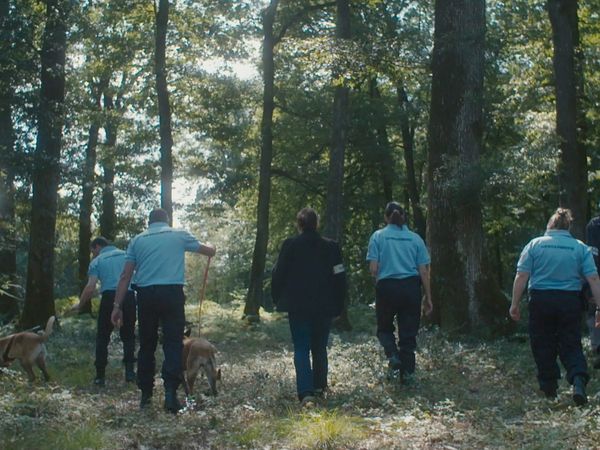 The Case - The Milly-La-Forêt Jogger