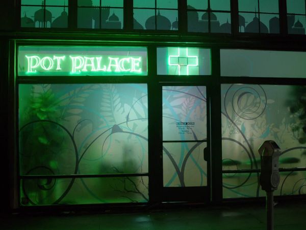 Rizzoli & Isles - Murderjuana