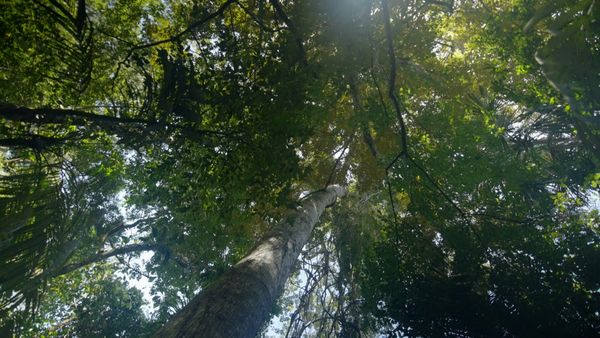 Unknown Belize - Part 1