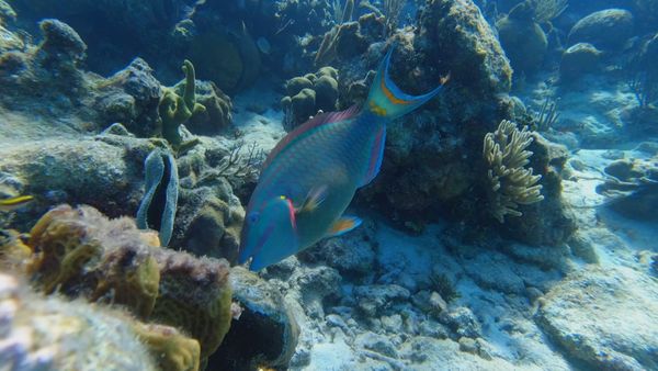 Unknown Belize - Part 3
