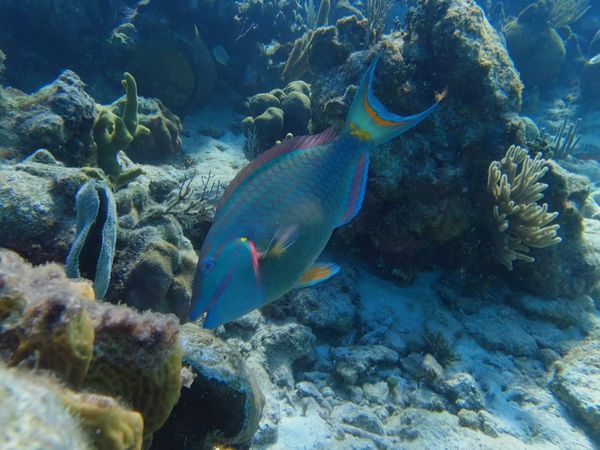 Unknown Belize - Part 3
