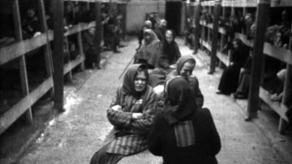 The Rise of the Nazi Party - The Final Solution