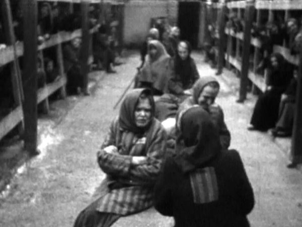 The Rise of the Nazi Party - The Final Solution