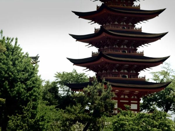 Myth Hunters - The Shogun's Lost Treasure