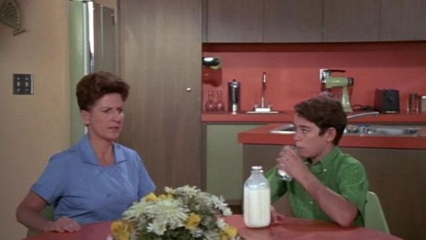 The Brady Bunch - Everybody Does It