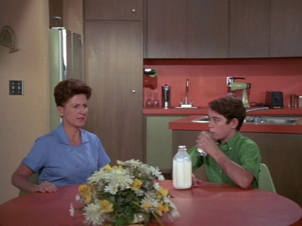 The Brady Bunch - Everybody Does It