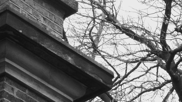 Most Haunted - Hill House (Part 1)