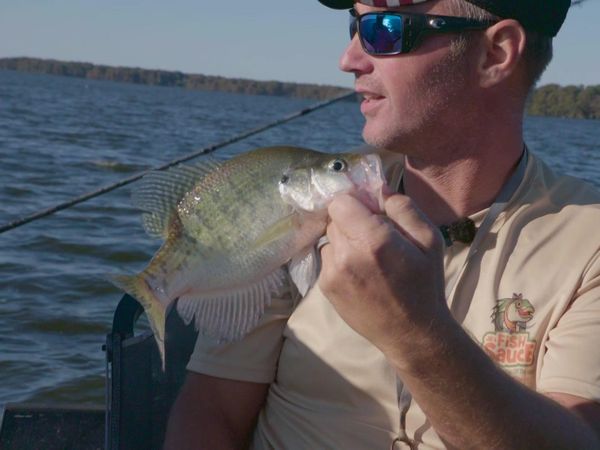 On the Hook - Reelfoot Lake, Tennessee