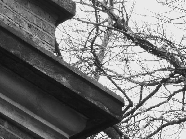 Most Haunted - Hill House (Part 1)
