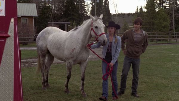 Heartland - Milagro