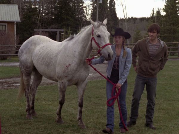 Heartland - Milagro