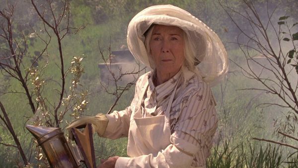 Heartland - Um Dia