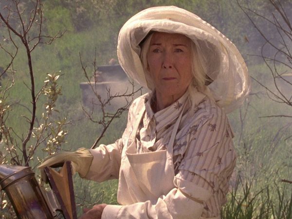 Heartland - Um Dia