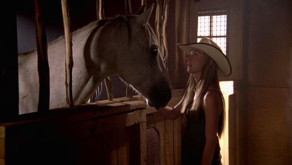 Heartland - Depois Da Tempestade