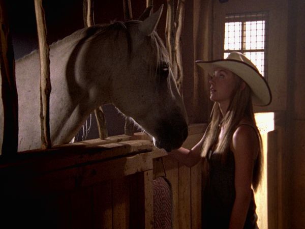 Heartland - Depois Da Tempestade