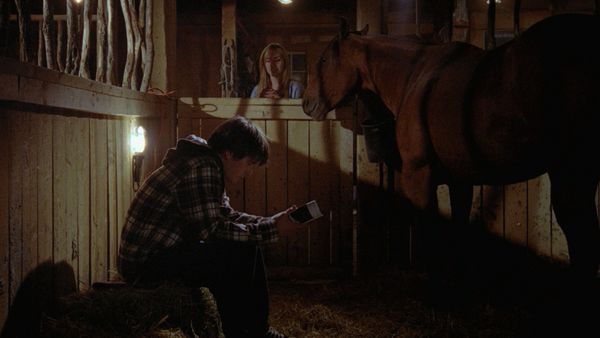 Heartland - Haja O Que Houver