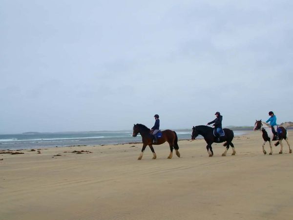 Hidden Ireland: County By County - Sligo