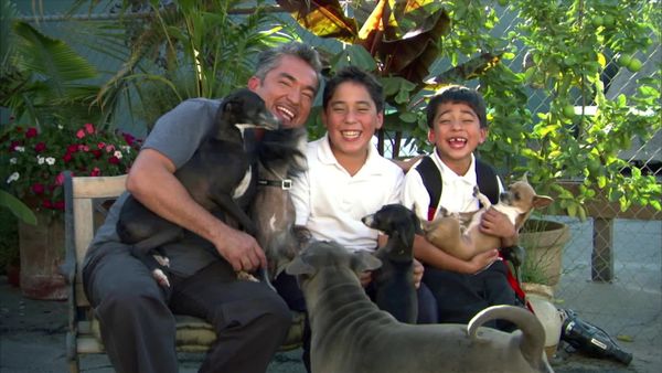 Dog Whisperer with Cesar Millan - Raging Bandit