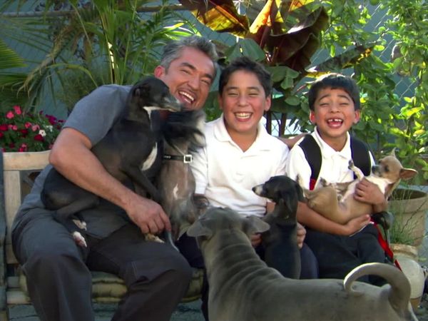 Dog Whisperer with Cesar Millan - Raging Bandit
